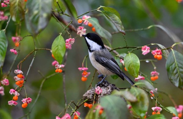 Assurance pour les artisans recyclant des matériaux : quels enjeux ?