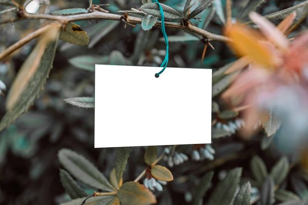 Pourquoi et comment obtenir le label BBC pour son logement ?