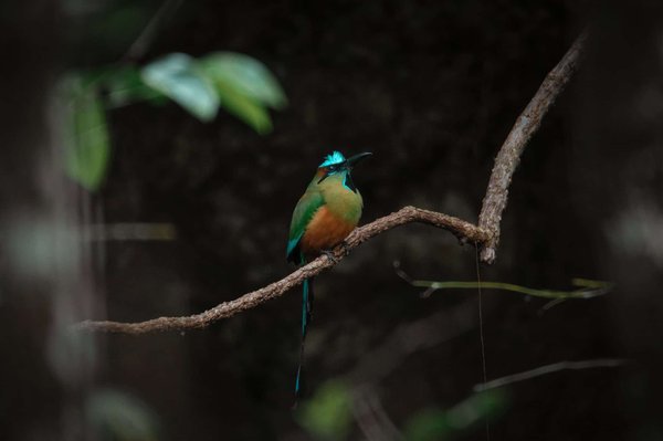 Qu'est-ce que le bail réel solidaire ?