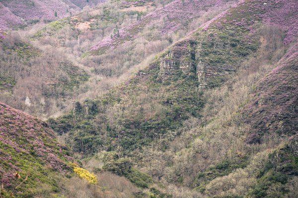 Comment utiliser l'assurance vie pour sécuriser une succession internationale ?